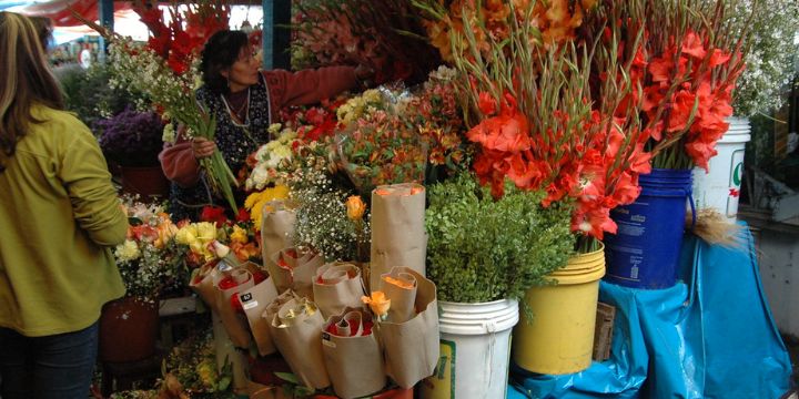 Đôi nét về chợ hoa 